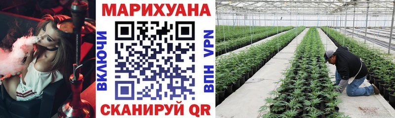 Бошки марихуана Bruce Banner  как найти закладки  omg вход  Дудинка 